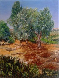 Agrigento 27 x 34 cm mai 2022