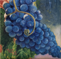 grappe bleue 20 x 20 cm janvier 2026 